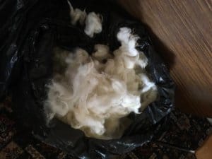 picture of sheeps wool