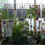 Painted clay flowers with real plants.