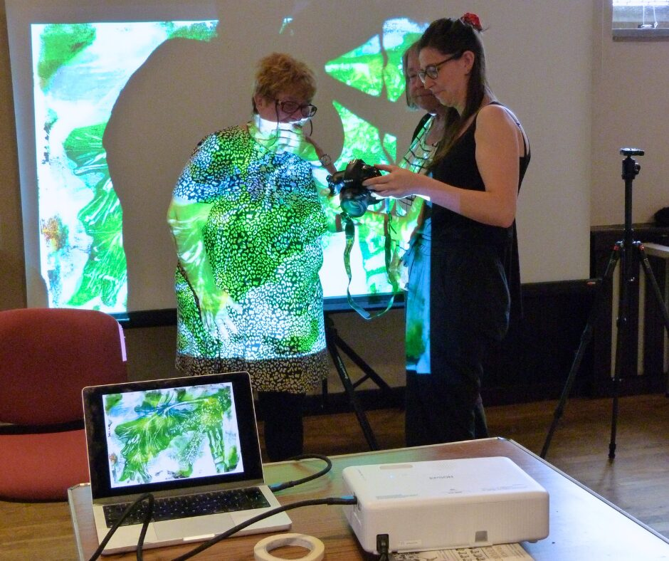 A projection of a green leaf piece of art shining on a group of people looking at a camera.