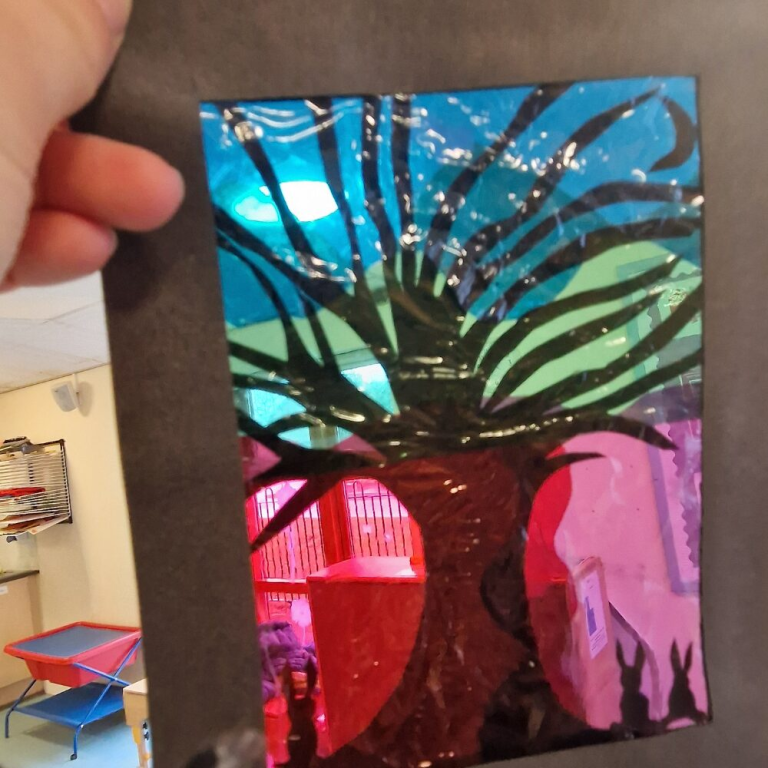 EBSA Artwork 2026